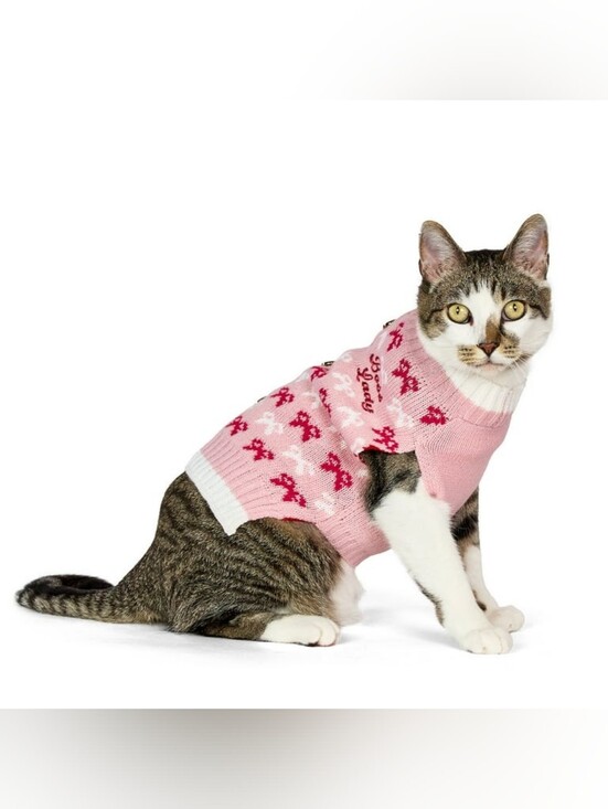 Vibrant Life Other - Vibrant Life NWT Pink "Boss Lady" Holiday Pet Sweater For Cats & Dogs